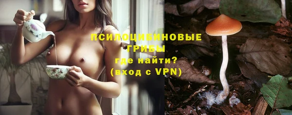 бутират Алексин