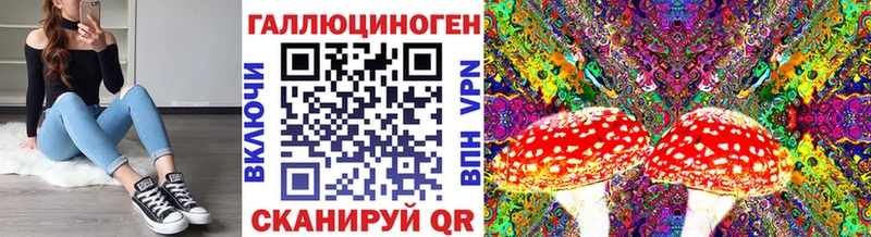 Галлюциногенные грибы Psilocybe  blacksprut рабочий сайт  Красногорск 